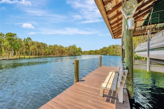 11526 River Country Dr, Riverview, FL 33569