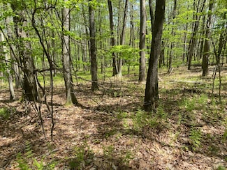 0 Sylvan Grove Rd, Cooper Township, PA 16858