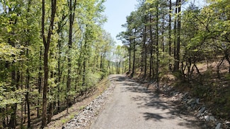 0 Chaparral Ln Unit 23274320, Mena, AR 71953
