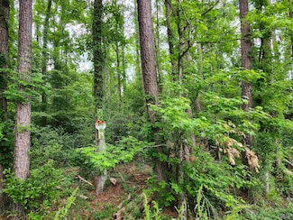 Lot 83 Baker Dr, Denham Springs, LA 70726