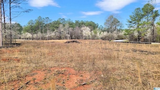 1085 Chancellors Ferry Loop Unit 37, Harpersville, AL 35078