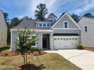 2377 Flowery Branch Dr Unit Lot 230, Castle Hayne, NC 28429