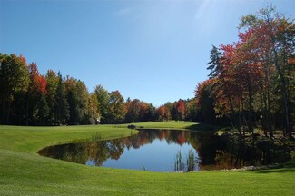 93 Greensward Dr, Grantham, NH 03753