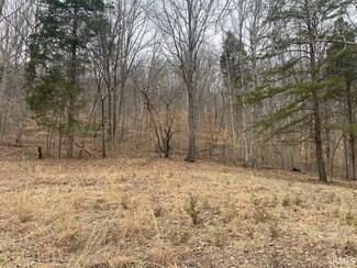 0 Chaplin Rd, Birdseye, IN 47513