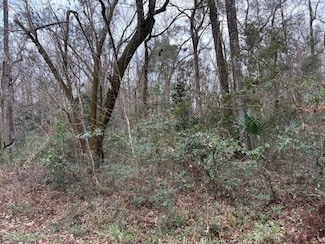 XXX Hickorywood Dr, Crawfordville, FL 32327