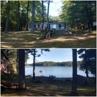 10198 N Bass Lake Rd, Irons, MI 49644