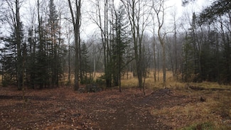 N10595 U S 45, Aniwa, WI 54414