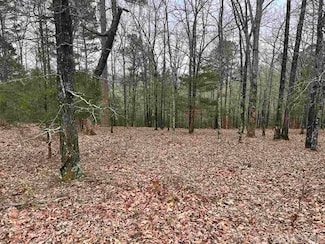 Lot 4 Diamond Bluff Rd, Quitman, AR 72131