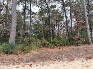 110 Linden St, Jarvisburg, NC 27947