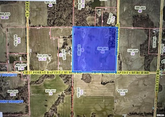 00 Forest Baptist Church Rd, Browning Township, IL 62812