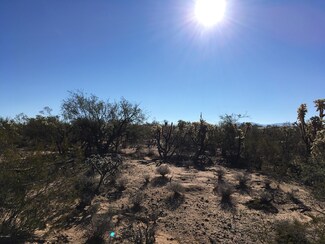 16951 W Brenda St, Three Points, AZ 85736