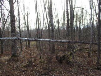 LOT #2 Ave, Birchwood, WI 54817