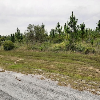 0 Calliandra Dr Unit MFRTB8392450, Indian Lake Estates, FL 33855
