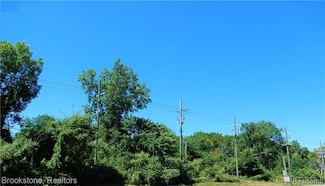 V/L Dixie Hwy, Independence Charter Township, MI 48346