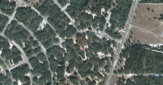 00 Fisher Way Trace, Ocklawaha, FL 32179