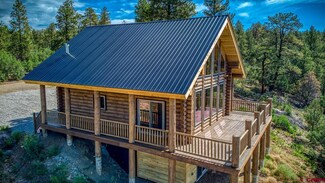 130 Carey's Ct, Pagosa Springs, CO 81147