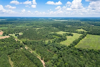 448 Kirbo Rd, Dawson, GA 39842