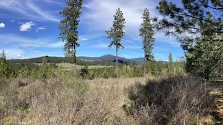 0 S Hells Gulch Rd, St. Maries, ID 83861