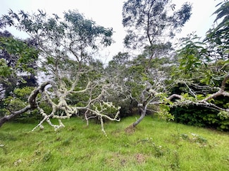 99-1945 Pukeawe Cir, Hawaiian Natl Park, HI 96718