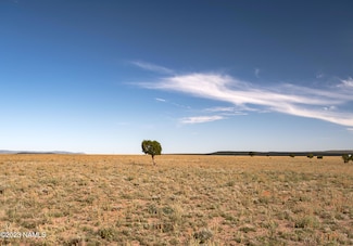 000-B1 Kirby Lane Parcel B1 Ln, Ash Fork, AZ 86320