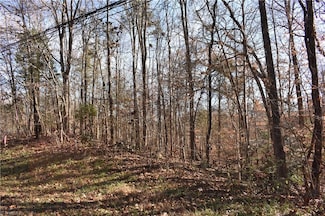 0 Young Dr Unit New Tract 1, Lexington, NC 27292