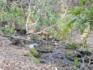 Lot 7 Snow Hill Falls Cir, Franklin, NC 28734