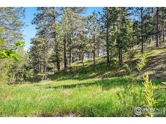 375 Arroyo Chico, Boulder, CO 80302