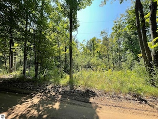 17.3Acres Marsh Rd, Kingsley, MI 49649