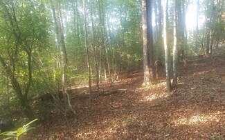LOT 2 Bluebird Ln, Blue Ridge, GA 30513
