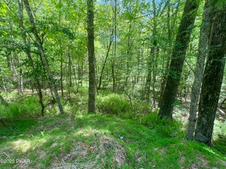 Lot 19 Brook Dr, Tusten, NY 12764
