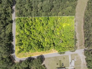 1.4 acres J Barnes Rd, Purvis, MS 39475