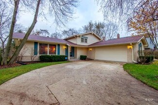 1564 N Columbia St, Naperville, IL 60563