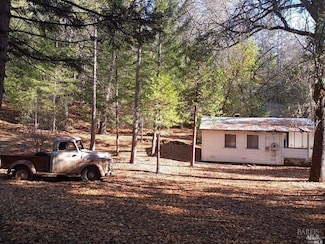 11154 Airstrip Rd, Loch Lomond, CA 95461