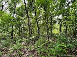 tbd 20.79 acres Lake Forest Estates Rd, Stover, MO 65078