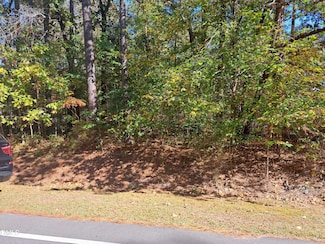 613 Riverbirch Dr, Vass, NC 28394