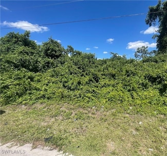 439 Loretta Ave S, Lehigh Acres, FL 33974