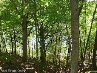 L3 Addaleen Dr, Highland Township, MI 48357