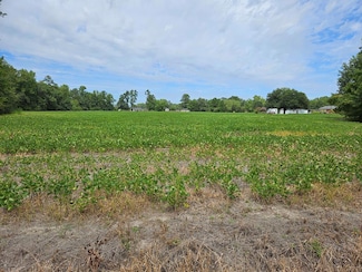 TBD Alice Meyers Dr, Olanta, SC 29114