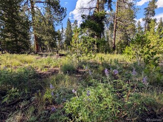 511 Spruce Dr, Twin Lakes, CO 81251