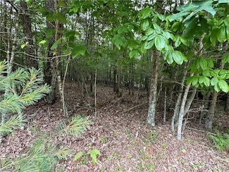TBD Live Oak Ln, Galax, VA 24333