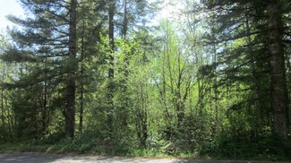0 NE Dole Valley Rd Unit 789004, Yacolt, WA 98675