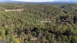 0 Jumper Dr Unit 10400915, Ellijay, GA 30540