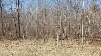0 Honkers Hollow, Webb Lake, WI 54830