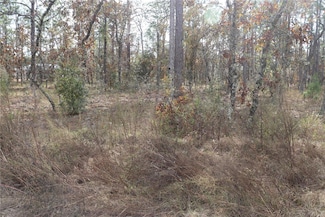 00 Geranium Ave, Dunnellon, FL 34431