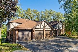 11101 Cottonwood Dr Unit 1B, Palos Hills, IL 60465