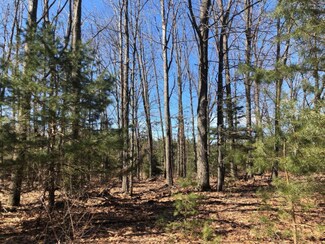 00 Chief Rd, Brethren, MI 49619