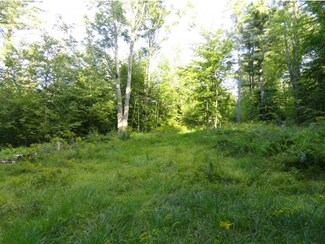 Lot 14.5 Fox Run Rd, Stoddard, NH 03464