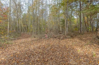 Tract 10 Old Dalton Cleveland Hwy, Cohutta, GA 30710