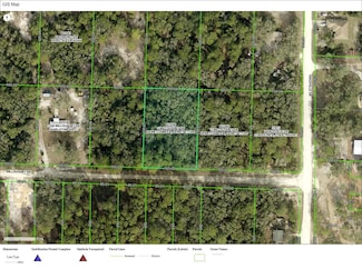 7200 Willoughby Dr, Webster, FL 33597