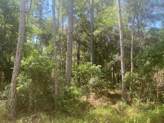 Tbd NE 155th Ln, Fort Mc Coy, FL 32134